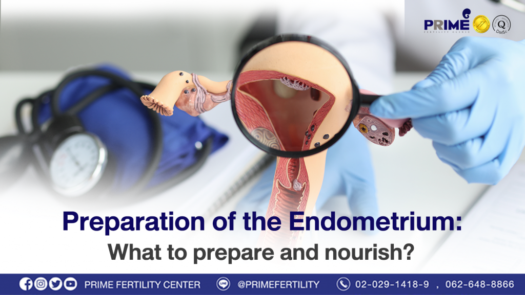 Preparation of the Endometrium: What to prepare and nourish? - เตรียมโพรงมดลูก..ต้องบำรุงอะไรบ้าง web เตรียมโพรงมดลูก..ต้องบำรุงอะไรบ้าง web