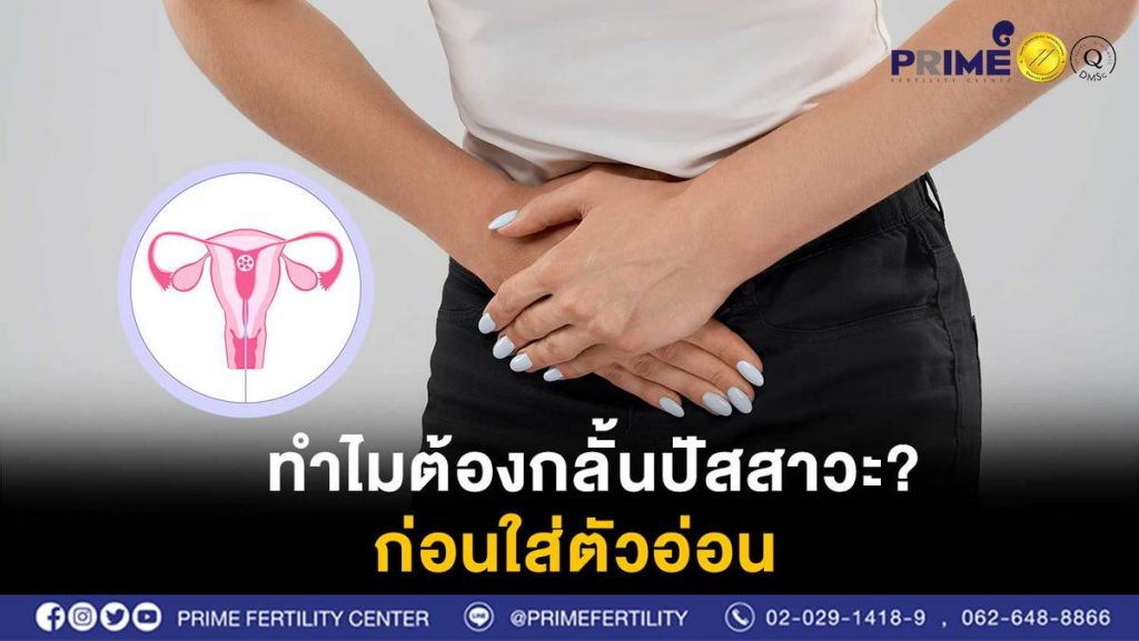 ทำไมต้องอั้นปัสสาวะก่อนใส่ตัวอ่อน web