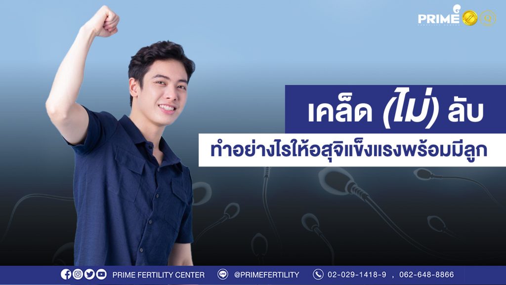 เคล็ด ไม่ ลับ อสุจิแข็งแรง ขึ้นเว็ป