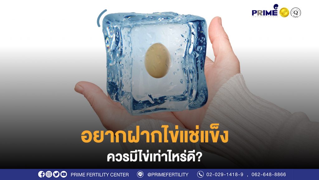 อยากฝากไข่แช่แข็ง ควรมีไข่เท่าไหร่ดีนะ ขึ้นเว็บ