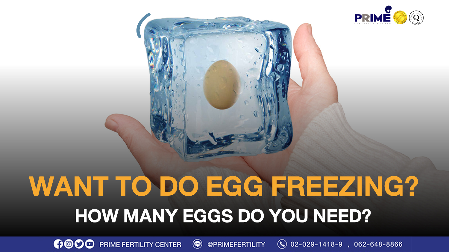 Want to do Egg Freezing? How many Eggs do you need?