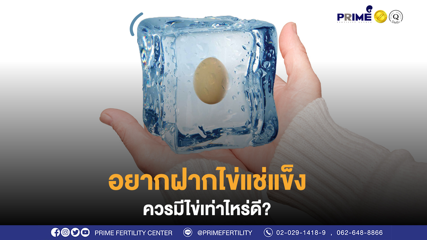 อยากฝากไข่แช่แข็ง ควรมีไข่เท่าไหร่ดีนะ?