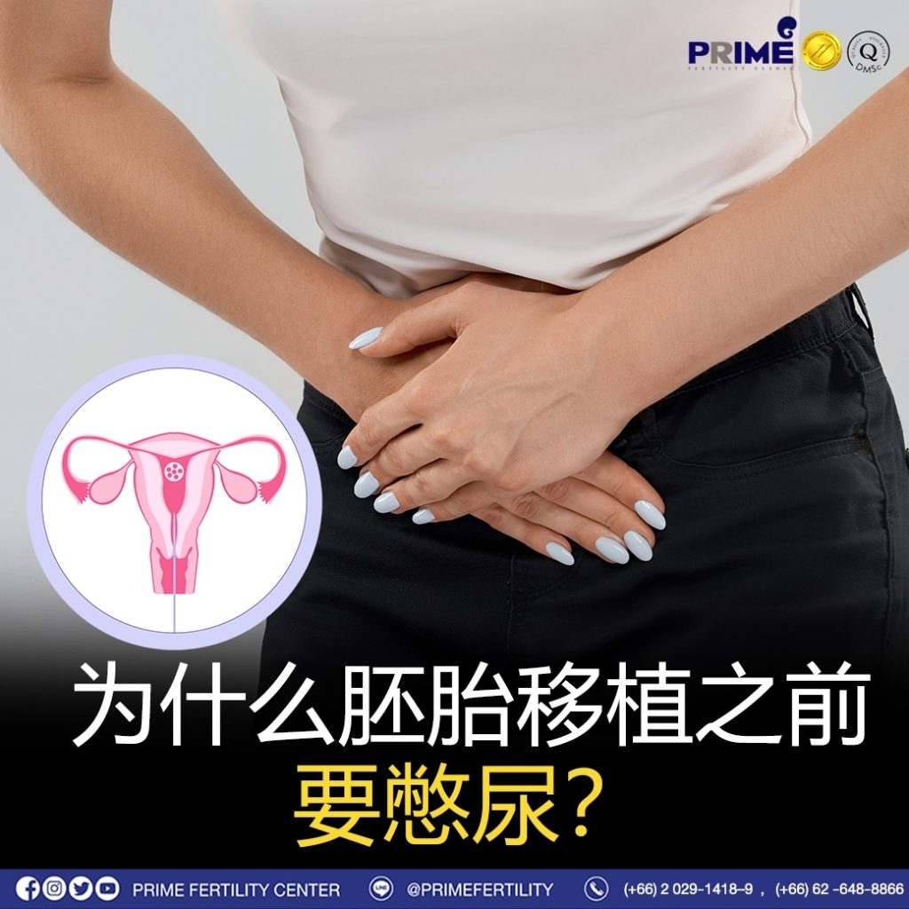 为什么在胚胎移植之前要憋尿？
