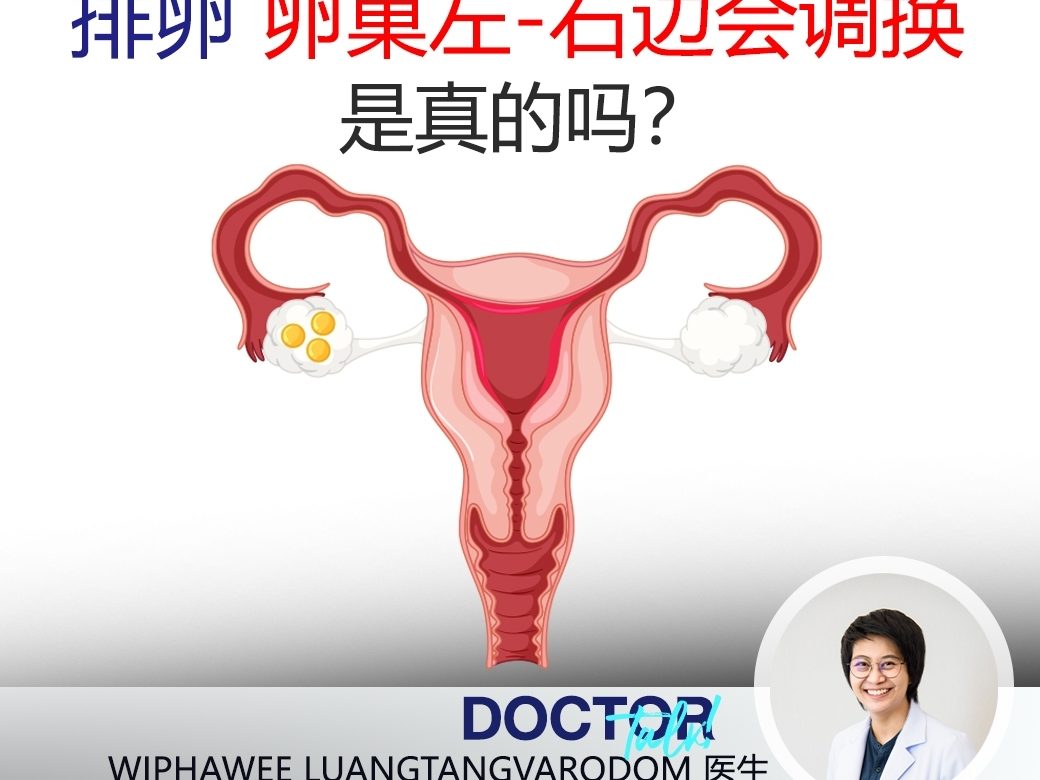 卵子左右交替排卵，是真的吗？