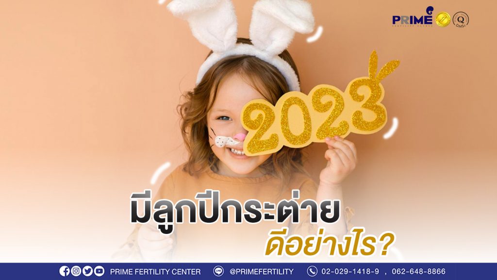 มีลูกปีกระต่าย ขึ้นเว็บ