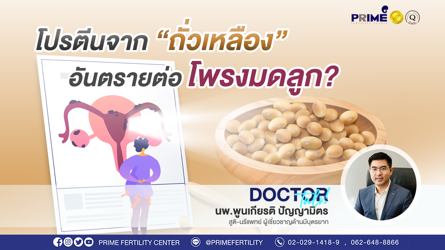 โปรตีนจากถั่วเหลือง ขึ้นเว็บ