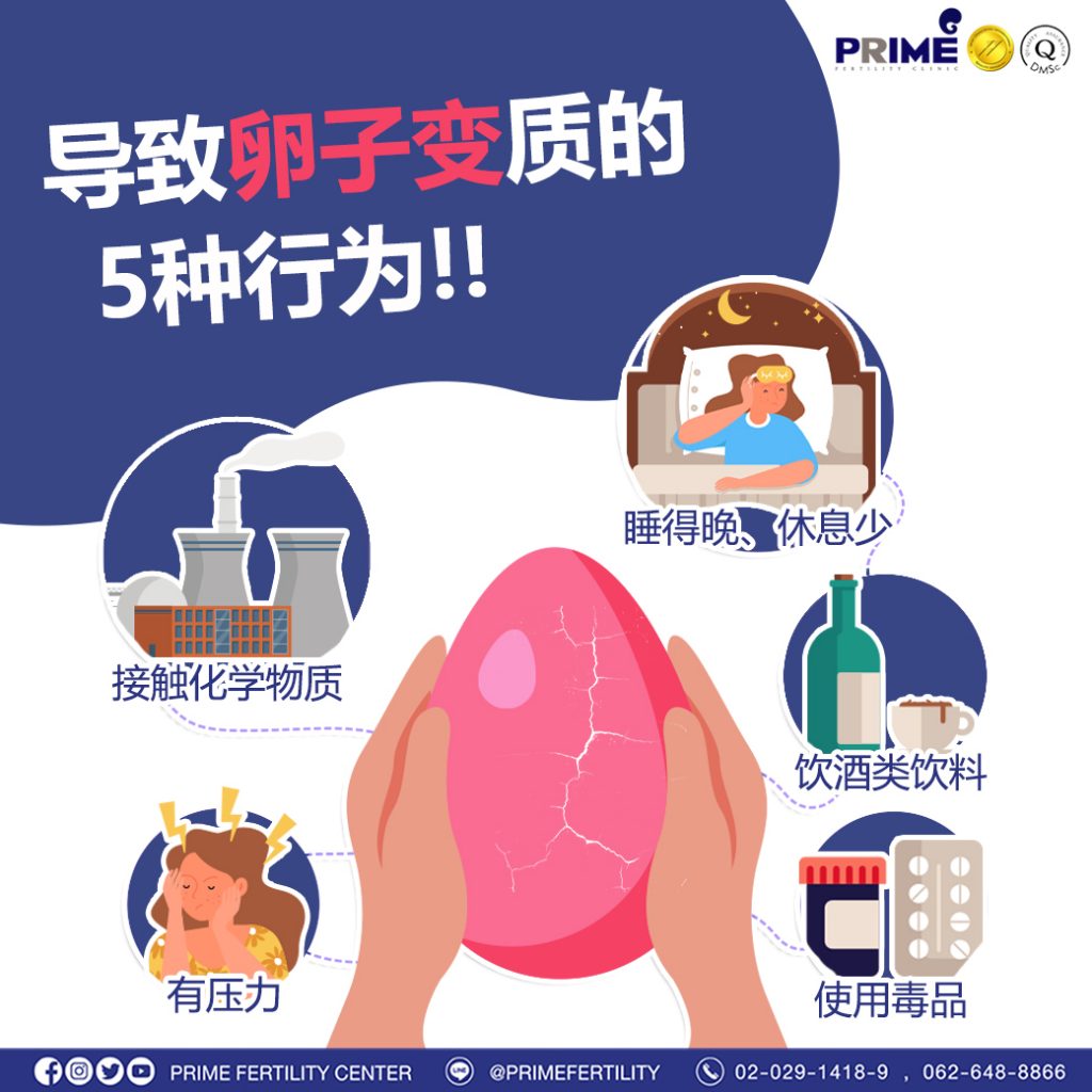 info 5 พฤติกรรมทำไข่เสื่อม