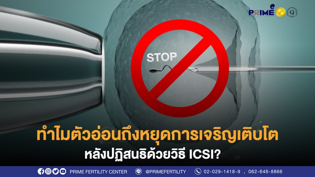 ตัวอ่อนหยุดการเจริญเติบโต ขึ้นเว็บ