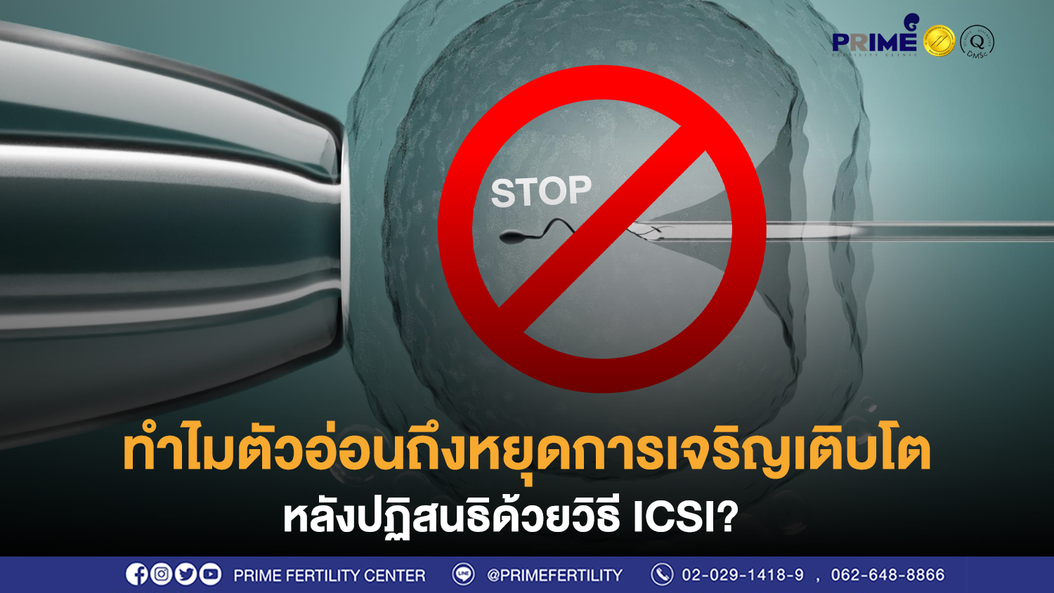 ตัวอ่อนหยุดการเจริญเติบโต ขึ้นเว็บ