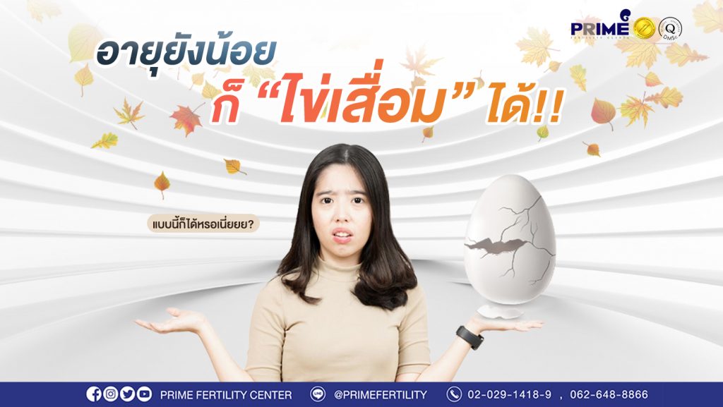 อายุน้อยก็ไข่เสื่อมได้ web