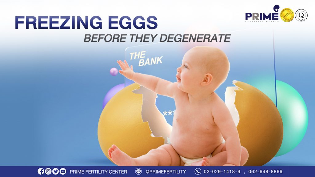 Freezing eggs before they degenerate…Reasons why you need egg freezing!? - ฝากไข่ ขึ้นเว็บ ฝากไข่ ขึ้นเว็บ