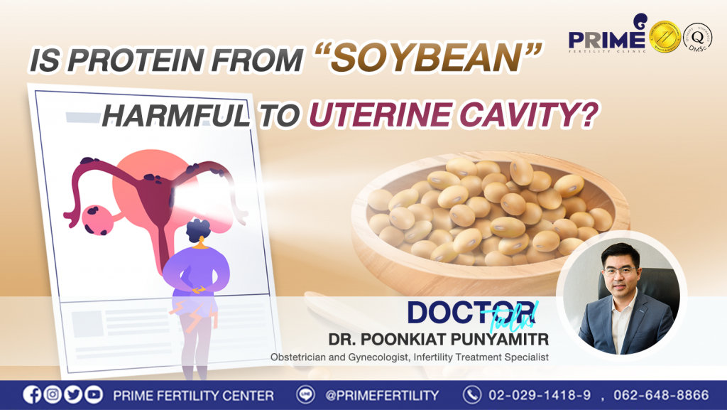 Is protein from soybean harmful to uterine cavity? - โปรตีนจากถั่วเหลือง web โปรตีนจากถั่วเหลือง web