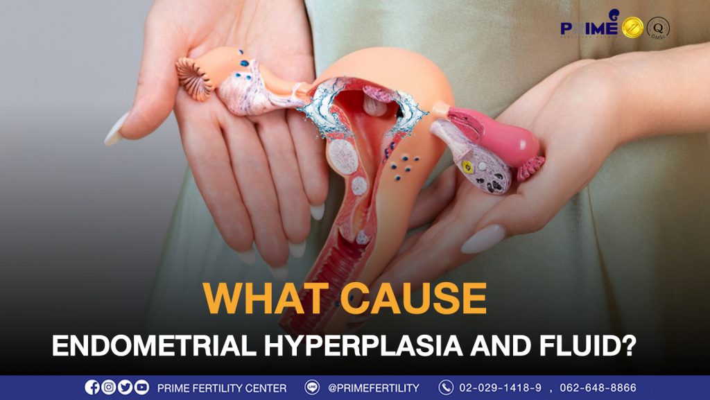 What cause endometrial hyperplasia and fluid? - โพรงมดลูกมีน้ำ ขึ้นเว็บ โพรงมดลูกมีน้ำ ขึ้นเว็บ