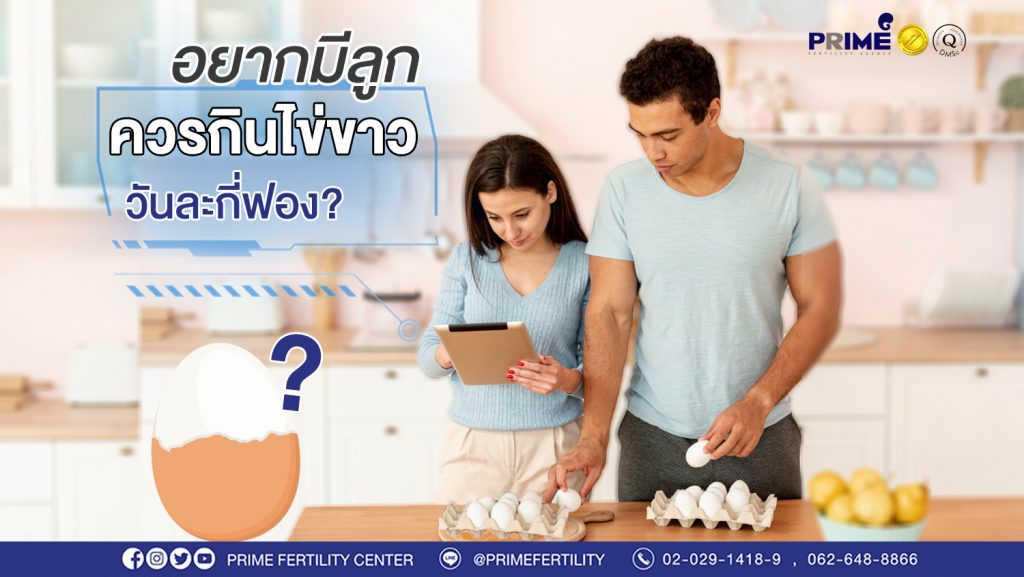 กินไข่ขาวกี่ฟอง web