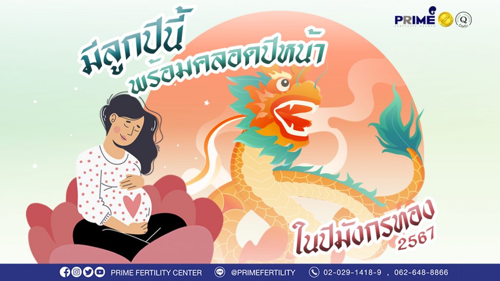 มีลูกปีมังกรดีอย่างไร web