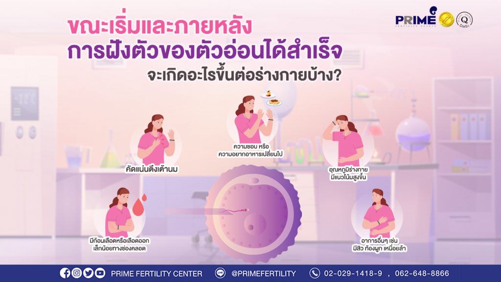 เกิดอะไรขึ้นบ้างขณะเริ่มมีการฝังตัวและหลังการฝังตัวของตัวอ่อนได้สำเร็จ web
