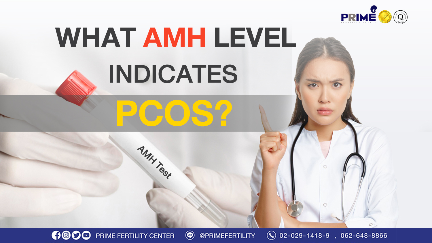 AMH เท่าไหร่เสี่ยงเป็น PCOS web