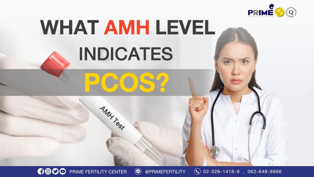 What AMH level indicates PCOS? - AMH เท่าไหร่เสี่ยงเป็น PCOS web AMH เท่าไหร่เสี่ยงเป็น PCOS web
