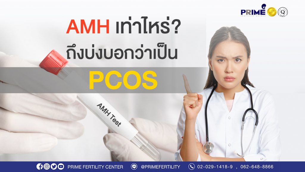 AMH เท่าไหร่เสี่ยงเป็น PCOS web