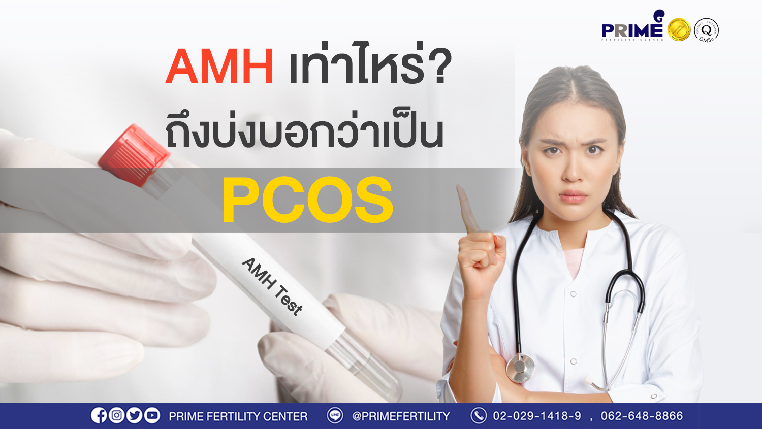 AMH เท่าไหร่เสี่ยงเป็น PCOS web