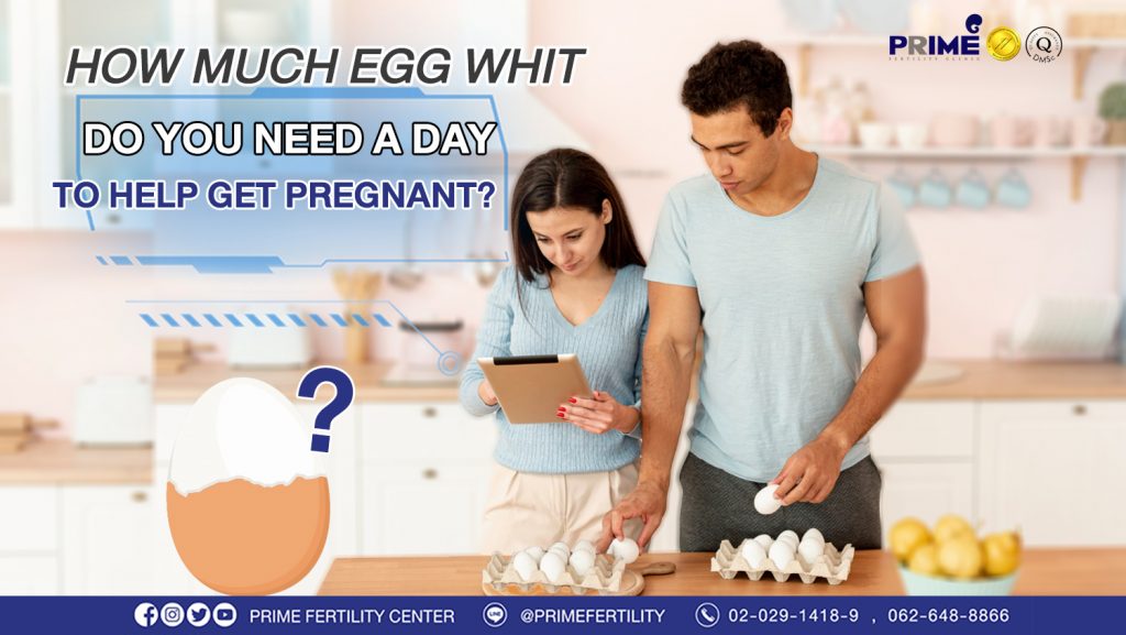 How much egg white do you need a day to help get pregnant? - กินไข่ขาวกี่ฟอง web กินไข่ขาวกี่ฟอง web