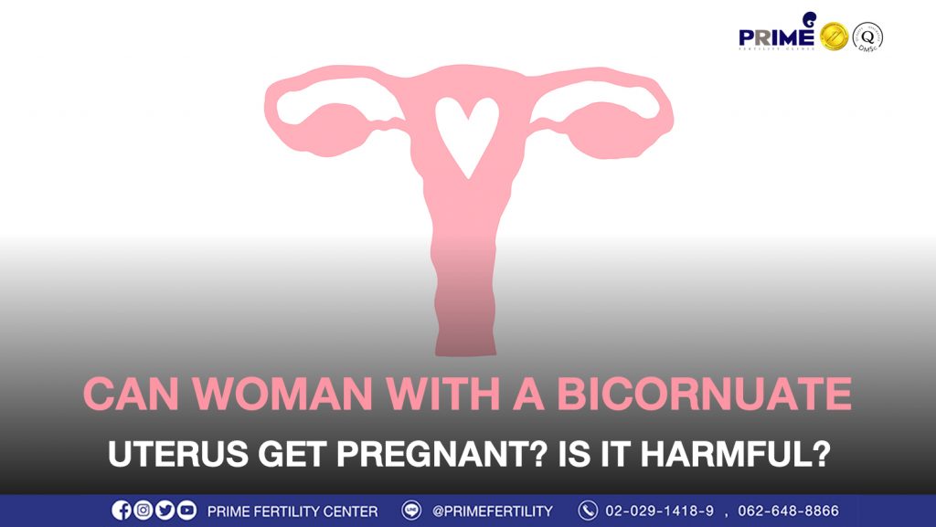 Can woman with a bicornuate uterus get pregnant? Is it harmful? - มีภาวะมดลูกคล้ายรูปหัวใจ ท้องได้มั้ย เป็นอันตรายหรือเปล่า web มีภาวะมดลูกคล้ายรูปหัวใจ ท้องได้มั้ย เป็นอันตรายหรือเปล่า web
