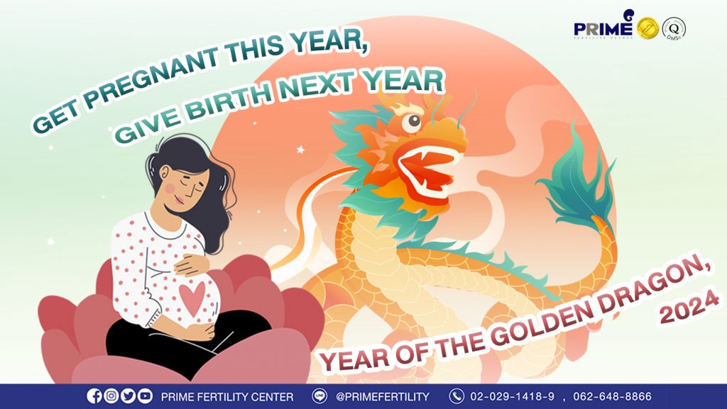 Get pregnant this year then give birth next year (year of the golden dragon!) - มีลูกปีมังกรดีอย่างไร web มีลูกปีมังกรดีอย่างไร web