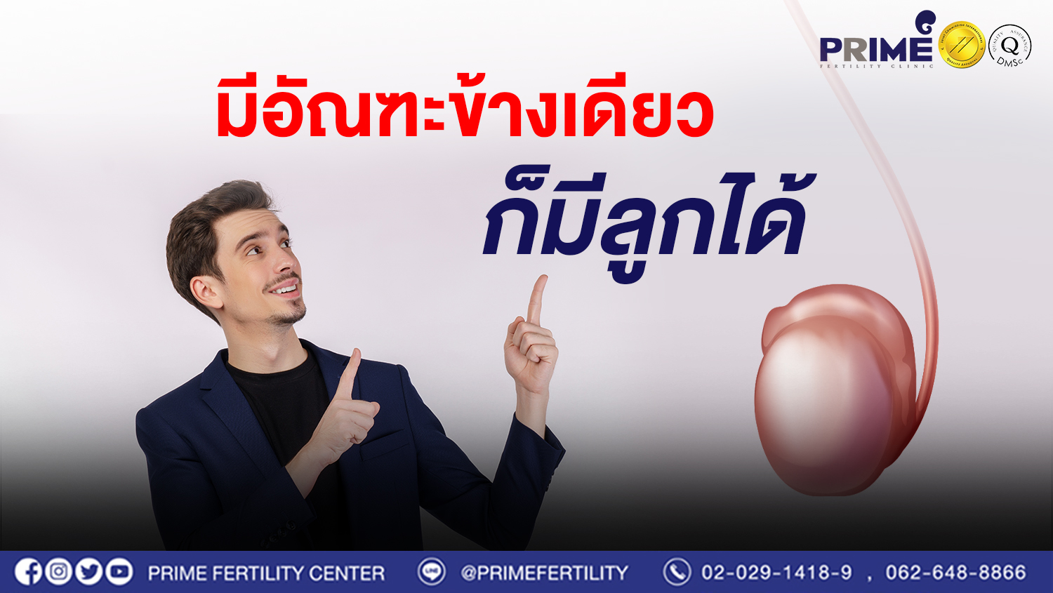 มีอัณฑะข้างเดียวก็มีลูกได้ เว็บ