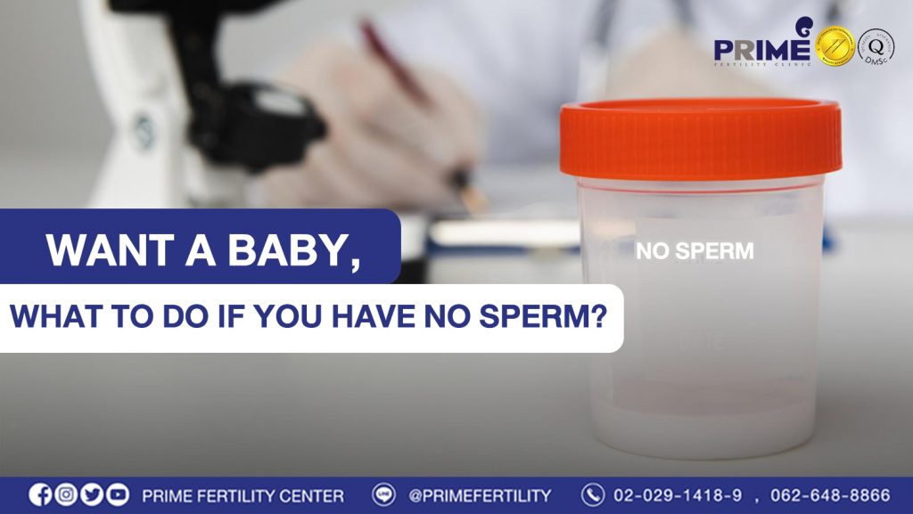 Want a baby, what to do if you have no sperm? - น้ำเชื้อไม่มีอสุจิเลย ทำไง web น้ำเชื้อไม่มีอสุจิเลย ทำไง web