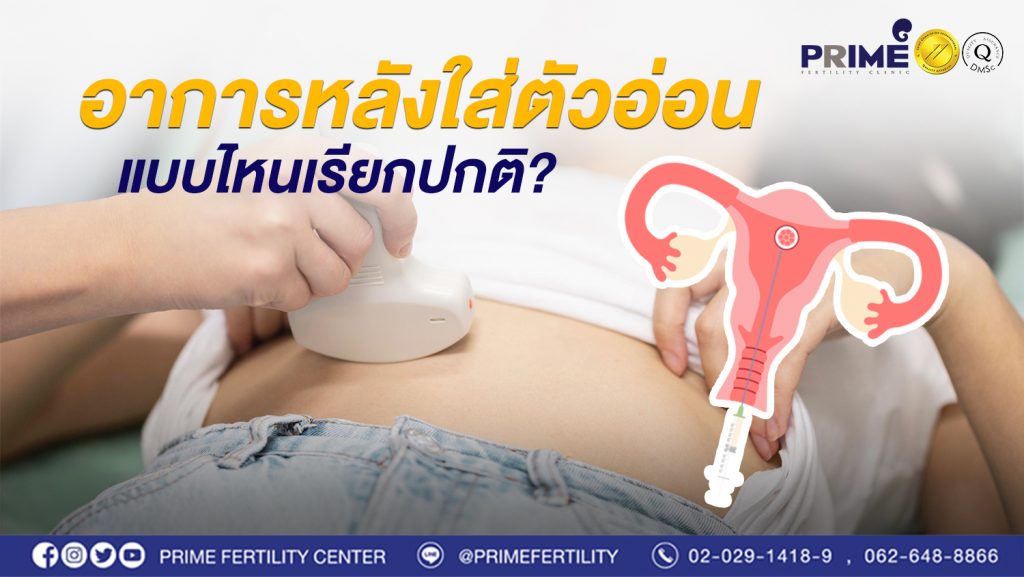 What are normal symptoms after an embryo transfer? - อาการหลังใส่ตัวอ่อน แบบไหนเรียกปกติ ขนาดเว็บไซท์ 1 อาการหลังใส่ตัวอ่อน แบบไหนเรียกปกติ ขนาดเว็บไซท์ 1