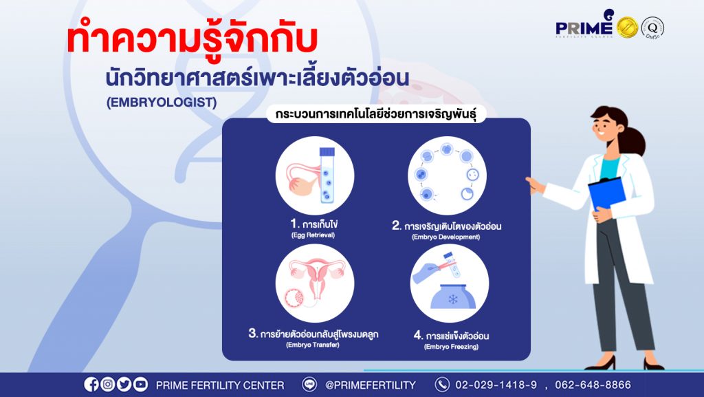 กระบวนการเทคโนโลยีช่วยการเจริญพันธุ์ web