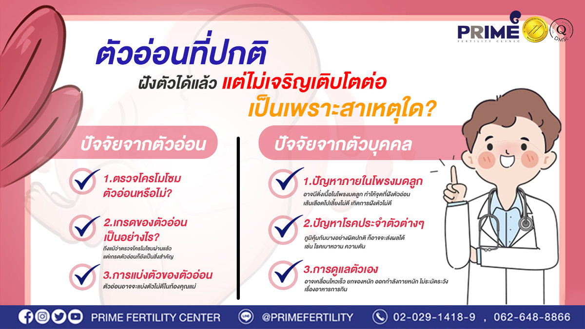 ตัวอ่อนที่ปกติ ฝังตัวได้แล้วแต่ว่าน้องไม่เจริญเติบโตต่อ เป็นเพราะสาเหตุใด web
