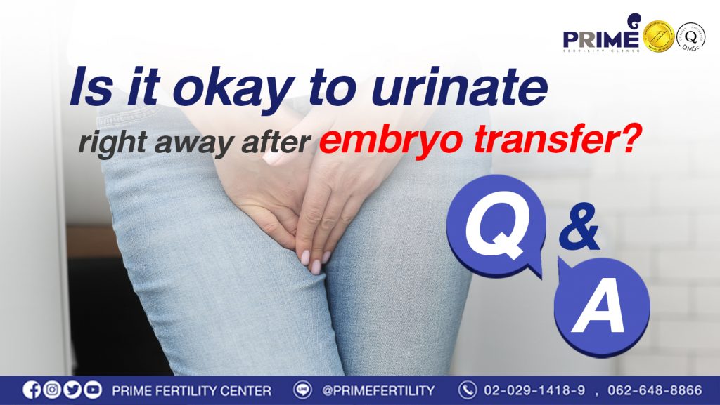 Is it okay to urinate right away after embryo transfer