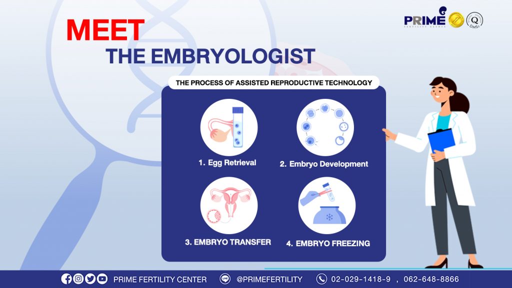 Meet The Embryologist - กระบวนการเทคโนโลยีช่วยการเจริญพันธุ์ web กระบวนการเทคโนโลยีช่วยการเจริญพันธุ์ web