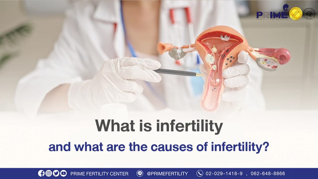 What is infertility and what are the causes of infertility?