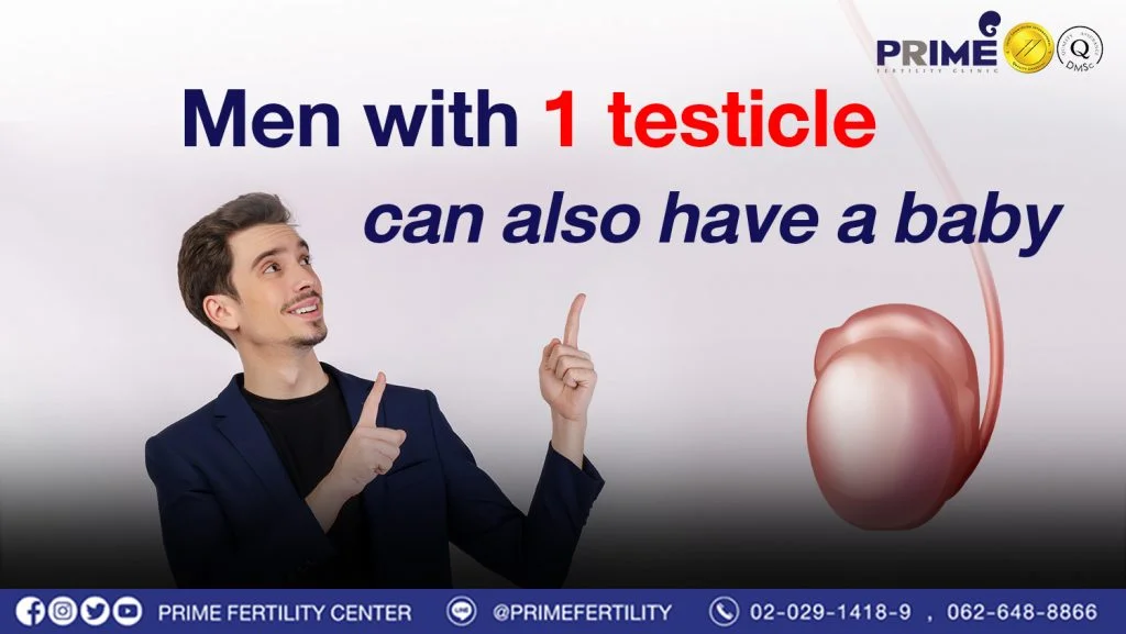 Men with 1 testicle can also have a baby! - มีอัณฑะข้างเดียวก็มีลูกได้ เว็บ มีอัณฑะข้างเดียวก็มีลูกได้ เว็บ