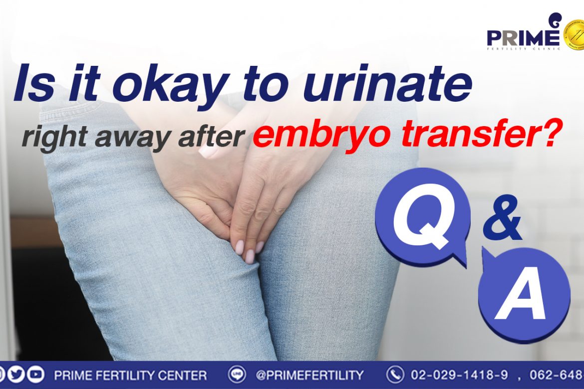 Is it okay to urinate right away after embryo transfer