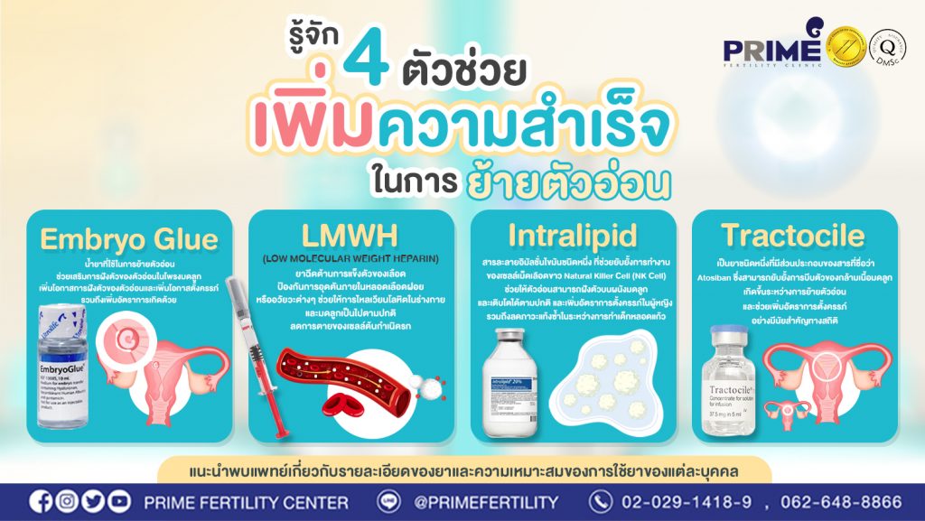 Content INFO 4 ตัวช่วย เพิ่มความสำเร็จในการย้ายตัวอ่อน เว็บ