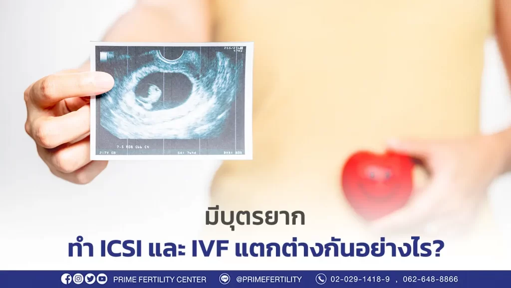 ICSI IVF แตกต่างกันอย่างไร?