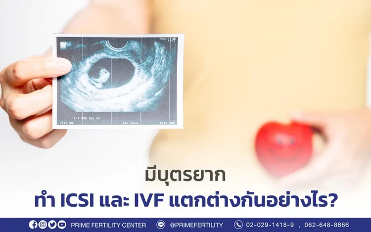 ICSI IVF แตกต่างกันอย่างไร?