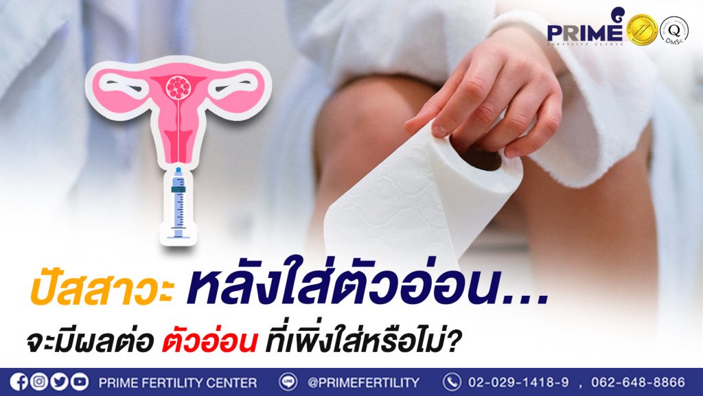 ปัสสาวะหลังใส่ตัวอ่อน.จะมีผลต่อตัวอ่อนที่เพิ่งใส่หรือไม่ ขึ้นเว็บ