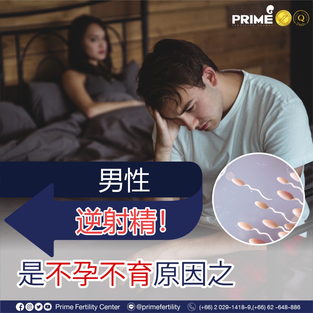 图片 20240112112842