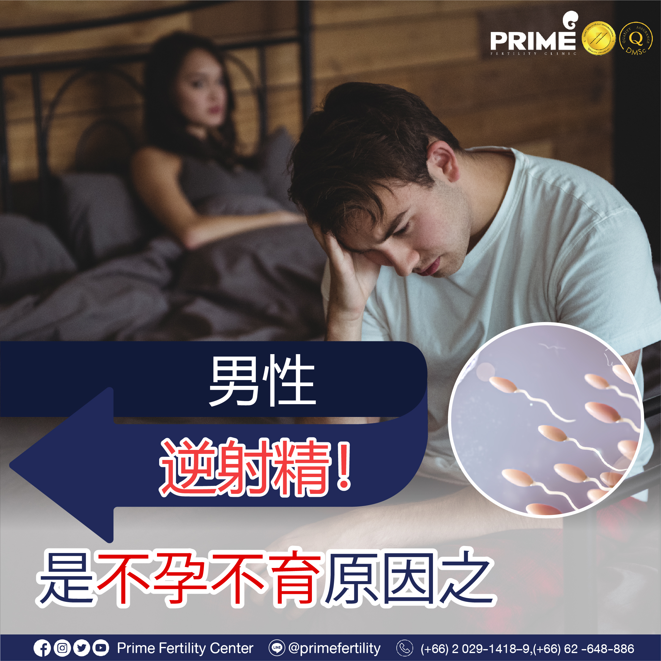 图片 20240112112842