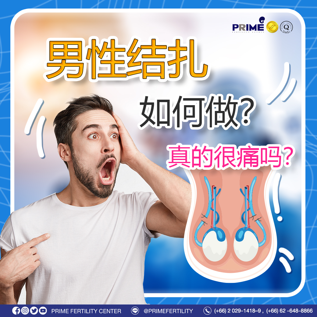 图片 20240112113130