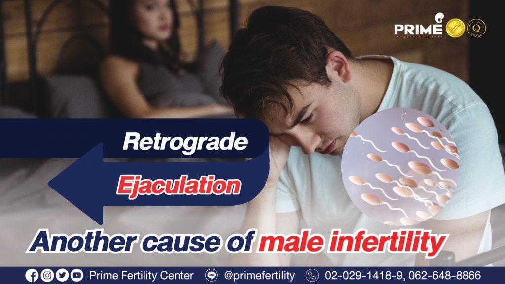 Retrograde Ejaculation (RE) - การหลั่งน้ำอสุจิไหลย้อนกลับ การหลั่งน้ำอสุจิไหลย้อนกลับ