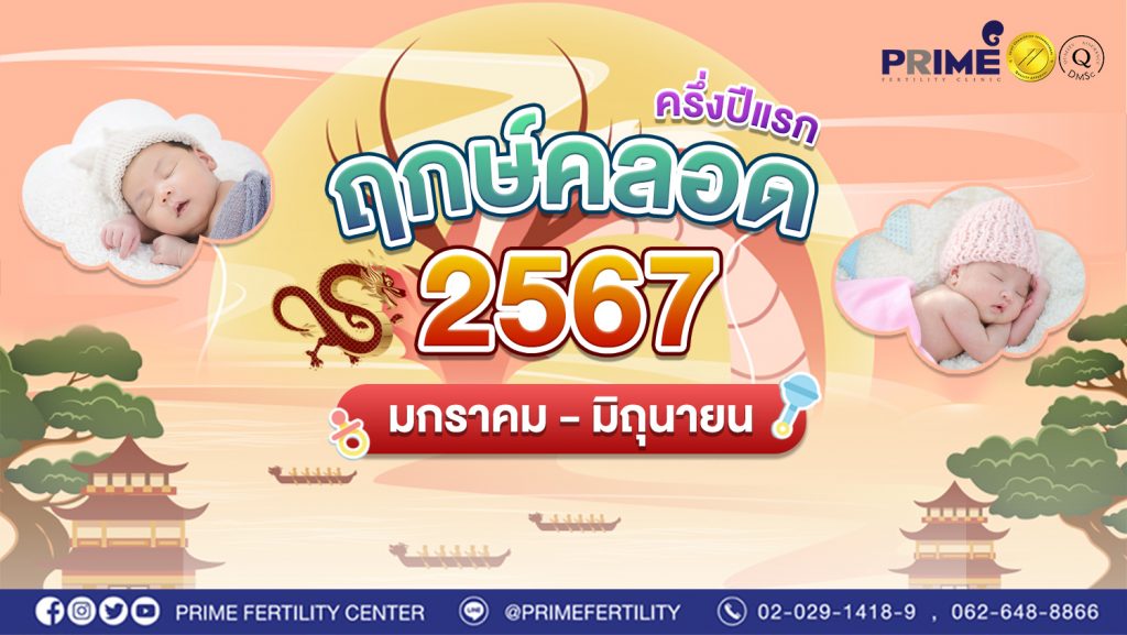 ฤกษ์คลอดปีมังกรทอง web