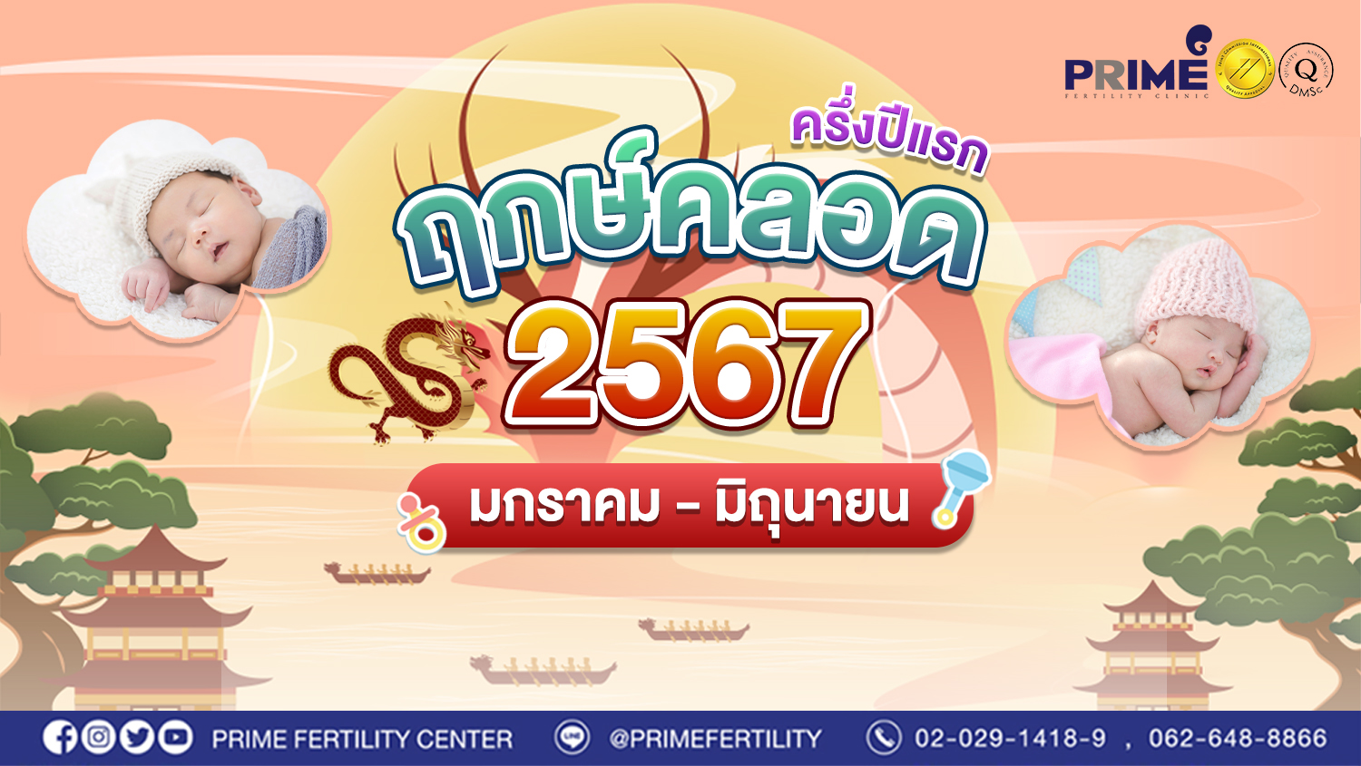 ฤกษ์คลอดปีมังกรทอง web