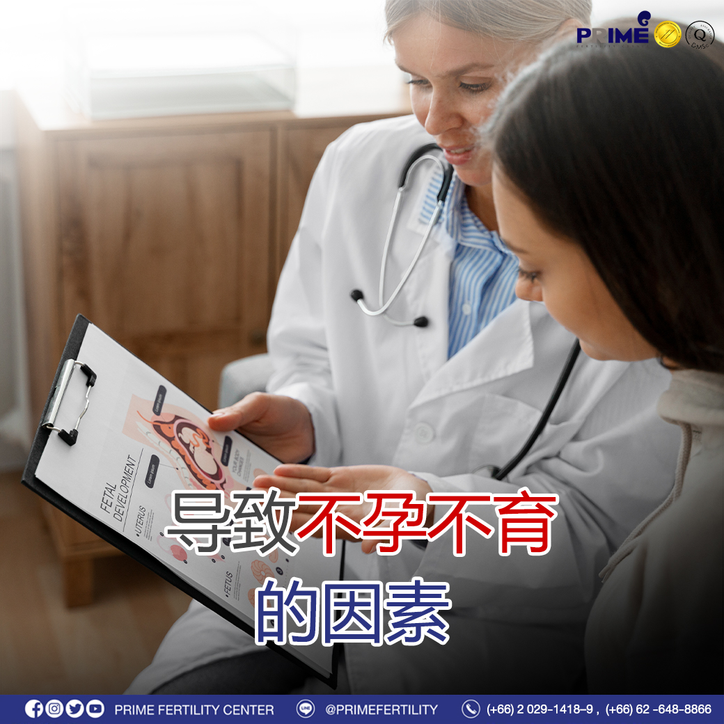 图片 20240112113022