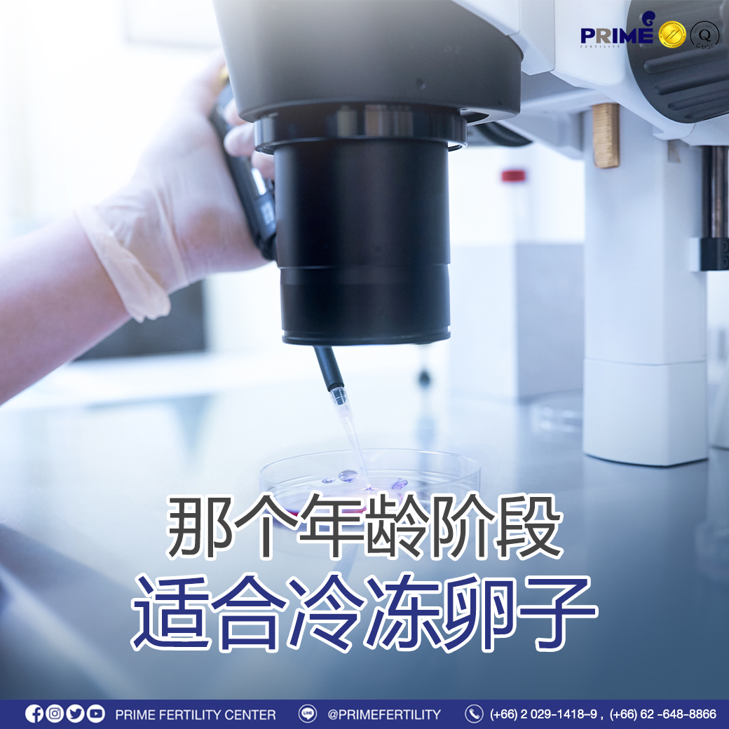 图片 20240112113028