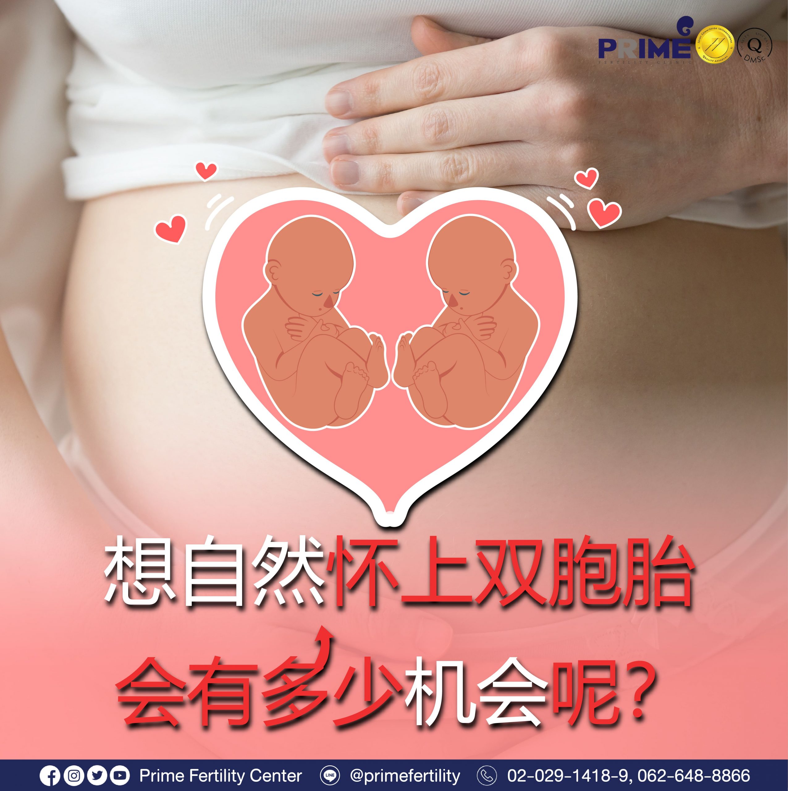 图片 20240124134607 scaled